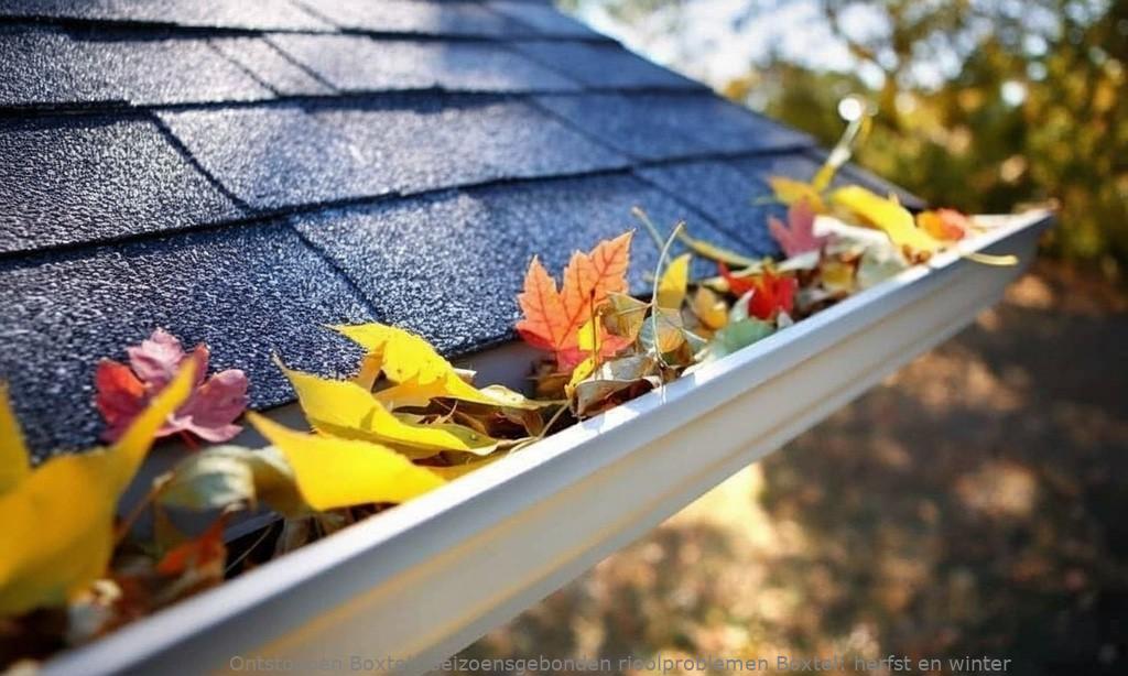 Seizoensgebonden rioolproblemen Boxtel: herfst en winter